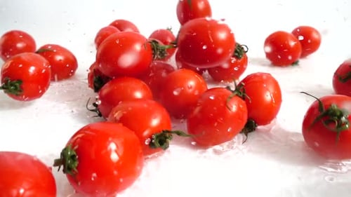 The Fall of Cherry Tomatoes 3