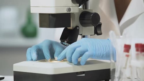 Female Bacteriologist Using Microscope for Microbiological Analysis, Laboratory