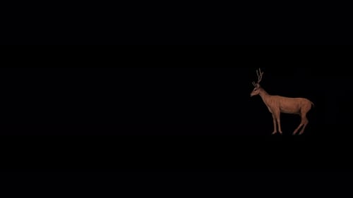 4K Deer Running