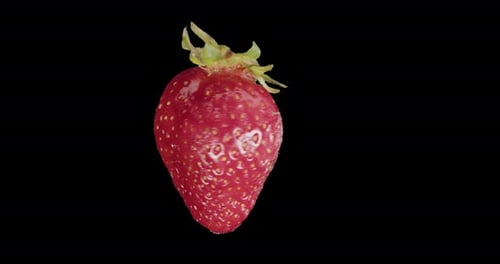 Red Strawberry Rotates Alpha Channel
