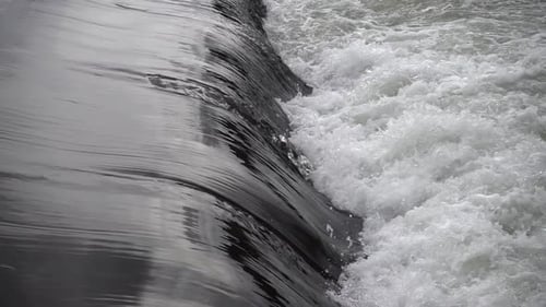 Water Movement