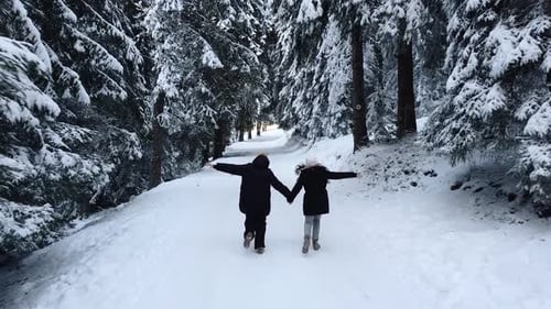 Toma aérea de dos personas corriendo y disfrutando de la naturaleza en un soleado día de invierno en el bosque