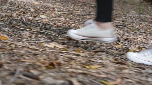 Legs of Female Hiker Goes Up the Hill in Pinery During Travel. Feet of Woman Tourist Walks Up on