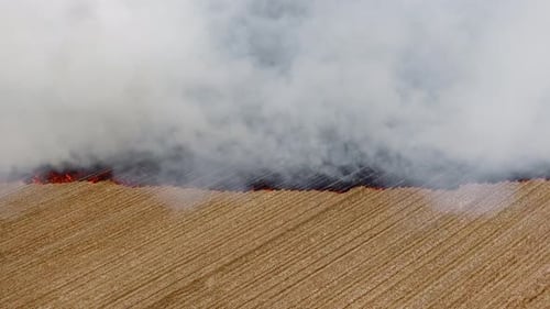 Brennende Stoppeln auf Feldern