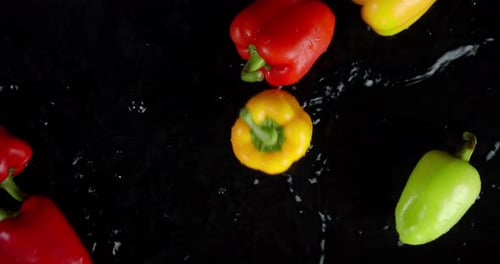 Colorful Bell Peppers with Water Droplets on Black