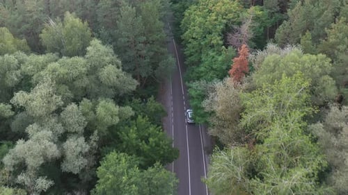 Blick von oben auf ein weißes Auto, das entlang der Straße im grünen Wald fährt