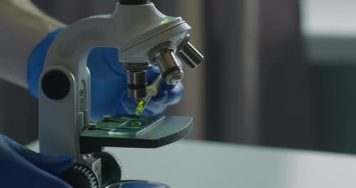 Close-up Shooting. A Medical Worker Is Applying a Test Substance on the Microscope Slide