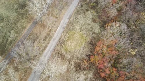 Aerial View of Path in Countryside