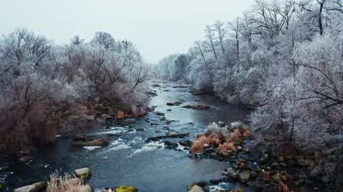 Flying Over the Narrow River in Winter