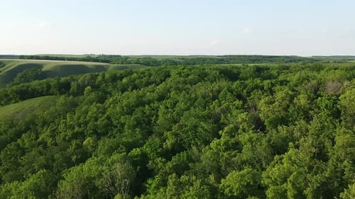 Aerial view drone flight over green tree crowns. forest from a height