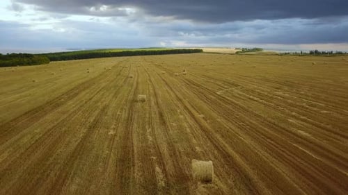 Haystack On The Field