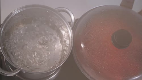 Pots Boiling and Simmering on a Stovetop