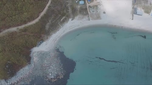 Aerial Shot of Exotic Tropical Ocean Coast on Sunny Day