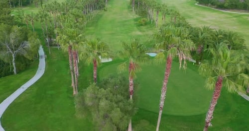 Green Golf Course, Aerial View Putting Green.