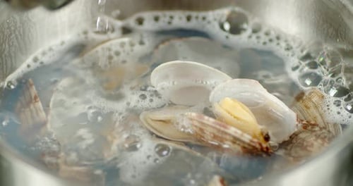 Dans de l'eau bouillante, les moules Vongole sont cuites.