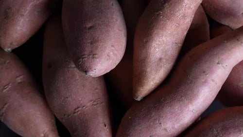 Pile of Fresh Sweet Potatoes in Close Up