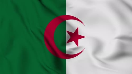 Realistic Waving Flag of Algeria with Fabric Details