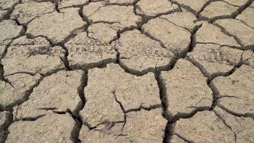 Cracked Earth Bottom Caused By Bad Drought in Bulgaria. Studena Dam Near Pernik, Bulgaria