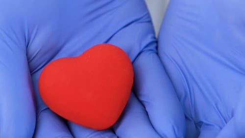 Hands in Gloves Holding Red Heart Shape