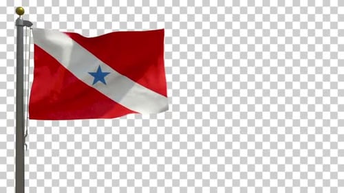 Waving Pará State Flag on Flagpole Animation