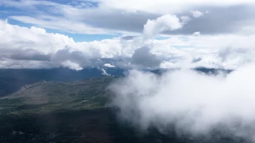 Mountain Fog Forest