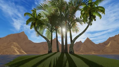 Palm Trees on Tropical Island with Moving Sun and Shadows