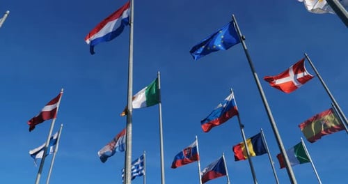 Flags of the World Waving in the Wind