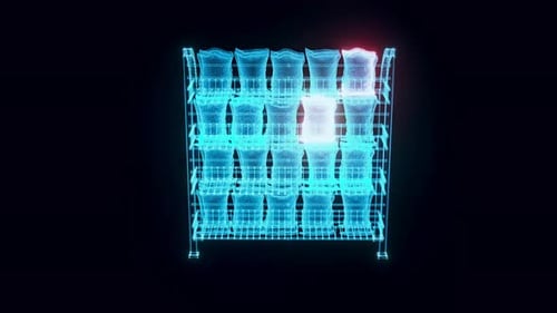 Market Rack Chips Hologram Rotating 4K