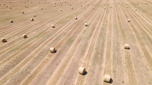 Luftaufnahme von Strohfeldern mit Ballen in ländlicher Gegend