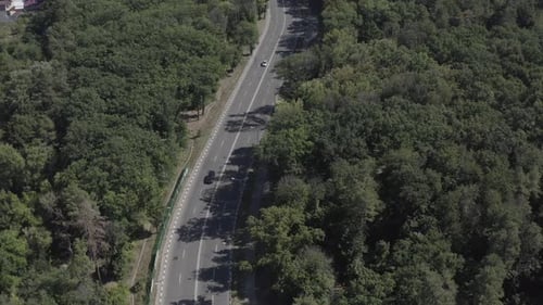 Subsequent Shot From Above the Road Along Which Cars Drive, Surrounded By Many Beautiful Green Trees