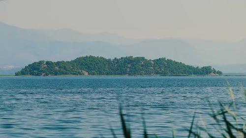 Island