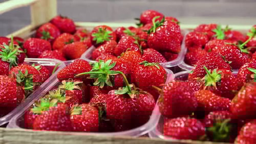 Strawberries in a Box on the Market Closeup Red Juicy Ripe Delicious Summer Berries