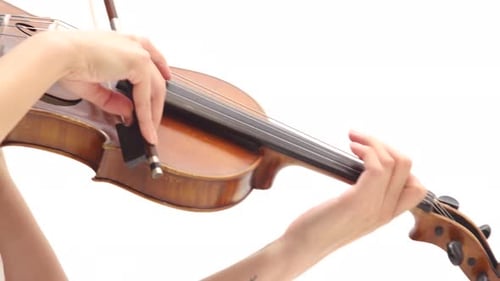 Woman Is Playing the Violin on White Background. Close Up of Bow and Strings. Moving Focuse.