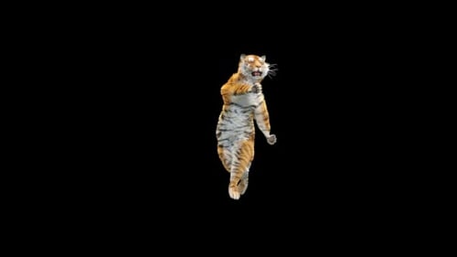 Tiger Dancing HD