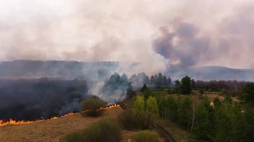 Dry grass burns, natural disaster. Aerial view: Wildfire a large burnt field covered in black soot