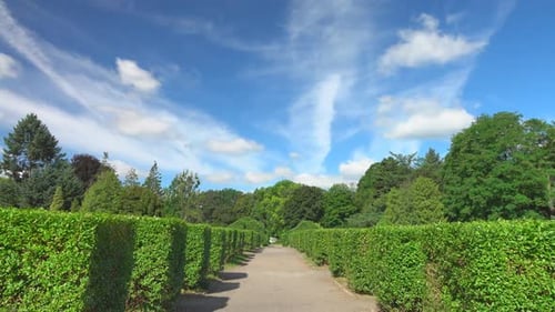 Park Path with Green Hedges and Blue Sky