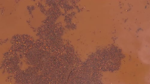 Aerial View Orange Rive