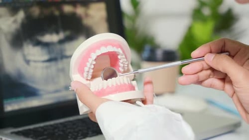Dental Model Inspection with Laptop X-Ray Display