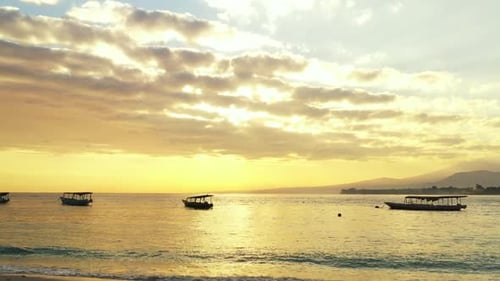 Aerial drone shot panorama of tranquil seashore beach wildlife by turquoise lagoon and white sandy b