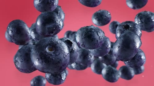 Fresh Blueberries Bouncing and Falling with Water Drops
