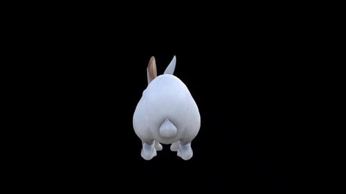 White Rabbit İdle View From Back