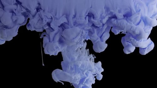 Swirling Blue and White Paint Abstractly