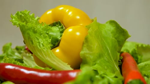 Fresh Vegetables: Lettuce, Peppers, and Chili Close Up