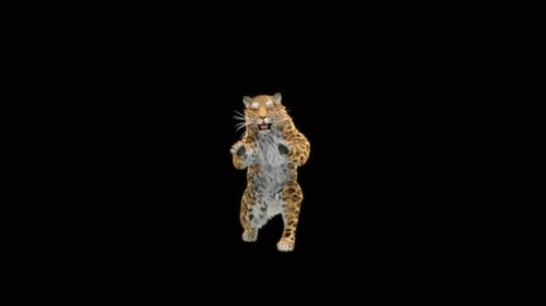 81 Leopard Jumping Down HD