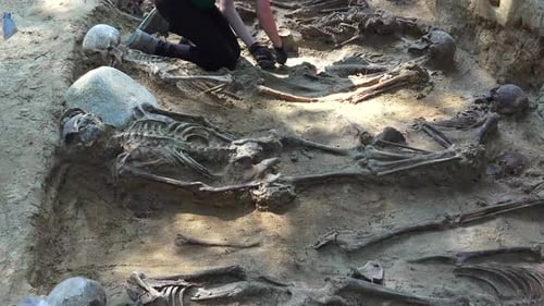 Mass Grave or Archaeological Excavations