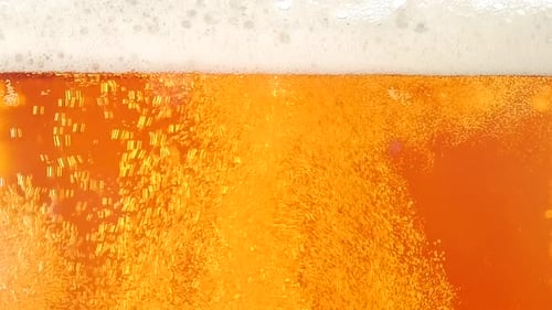 Golden Beer Pours with Bubbles Close Up