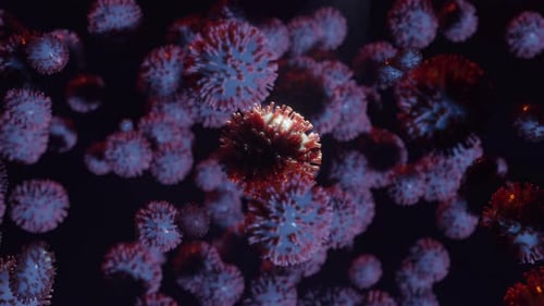 3D Animated Biological Virus Cells Floating in Microscopic View