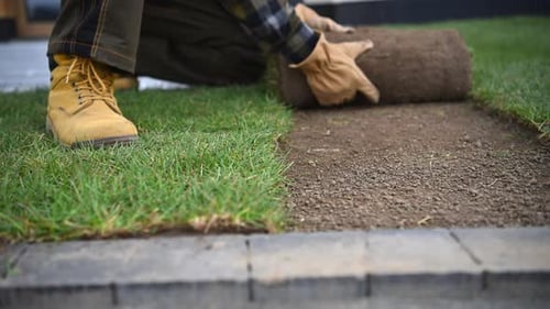 Natural Grass Turfs Installation Close Up