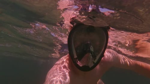 Underwater Snorkeling Adventure in Clear Ocean Water