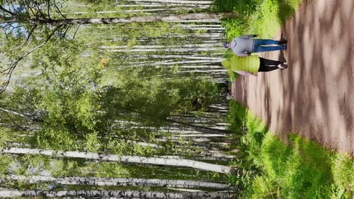 Couple is Walking in Natural Park in Sunny Day Long Shadows of Trees Walking People Sunbeams of the